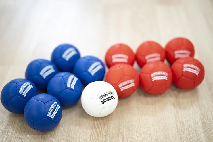 ボッチャイメージ