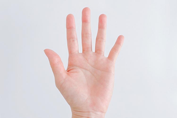 手外科イメージ